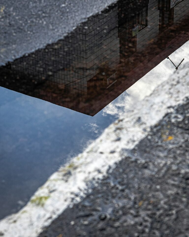 A homeowner photographs a ceiling water stain while a bucket catches drips from a roof leak.